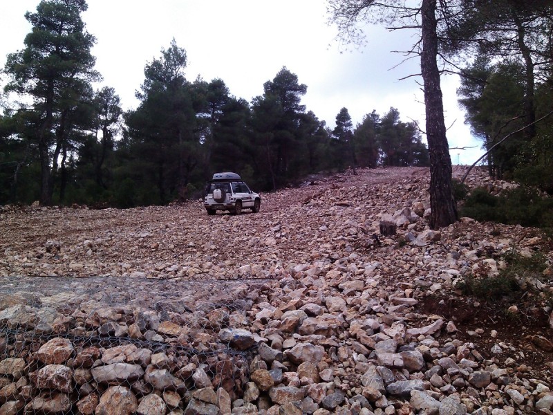 IMG_20111226_114441.jpg