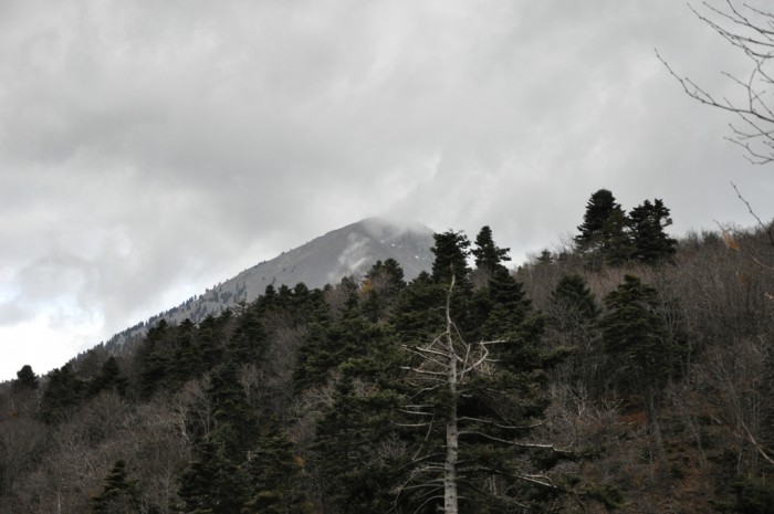 DSC_0308.jpg
