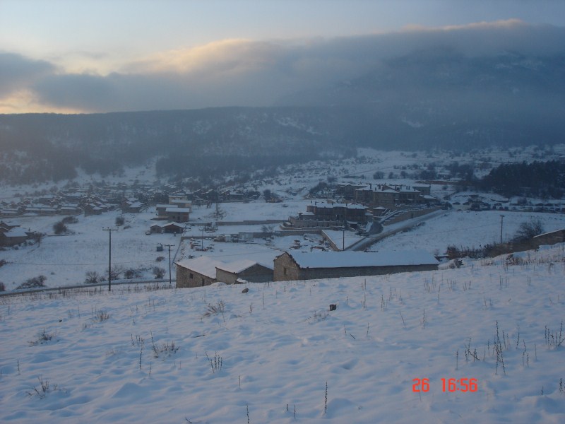 DSC03703.jpg