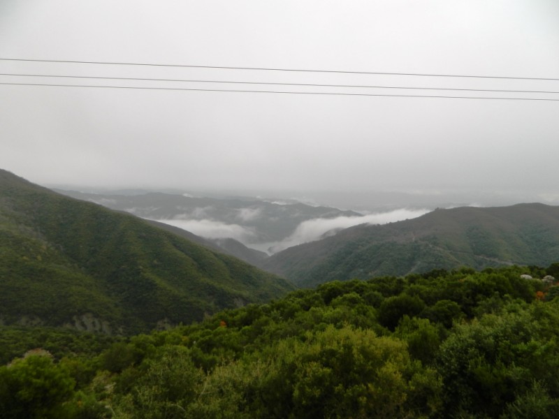 DSCN1133.JPG