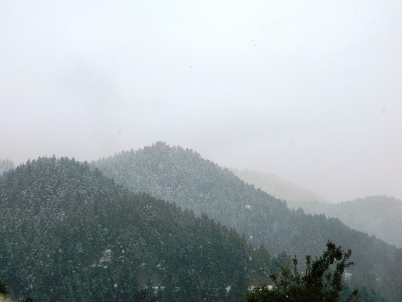 DSCN1145.JPG