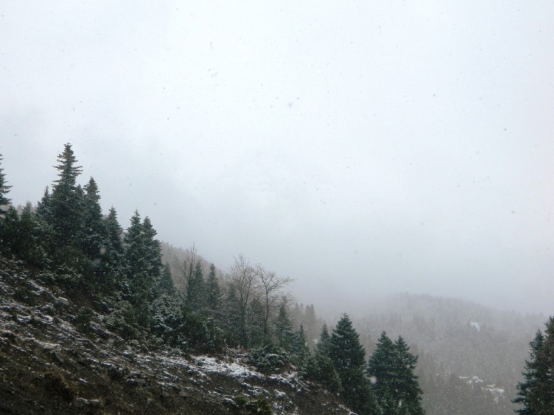 DSCN1147.JPG