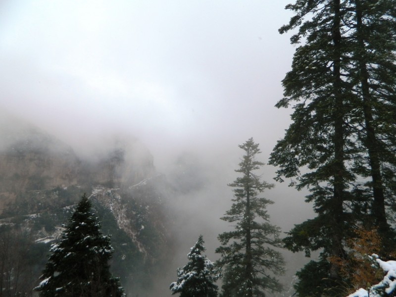 DSCN1154.JPG