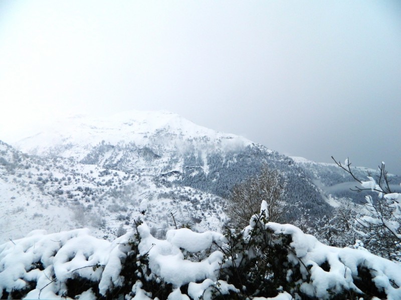 DSCN1163.JPG