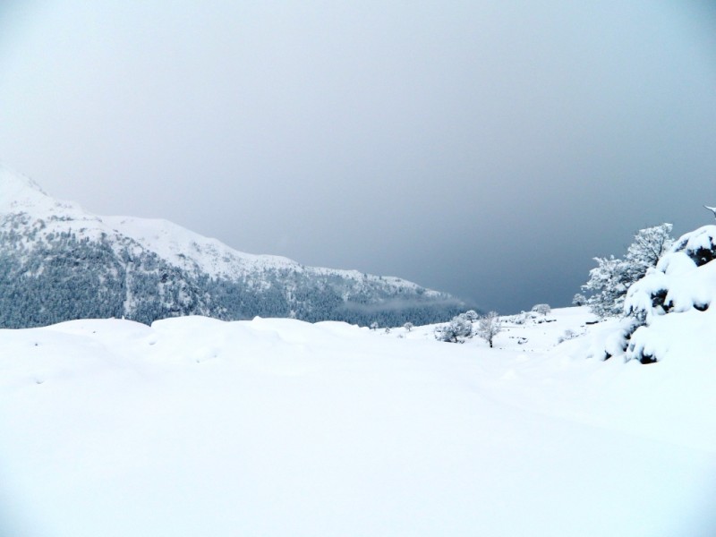 DSCN1168.JPG