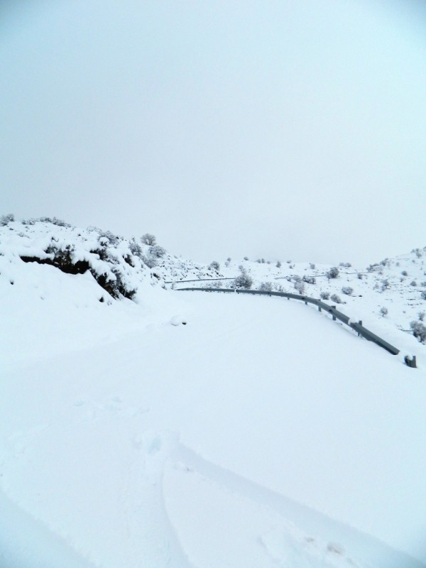 DSCN1169.JPG