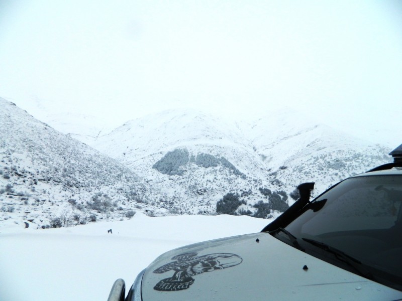 DSCN1170.JPG