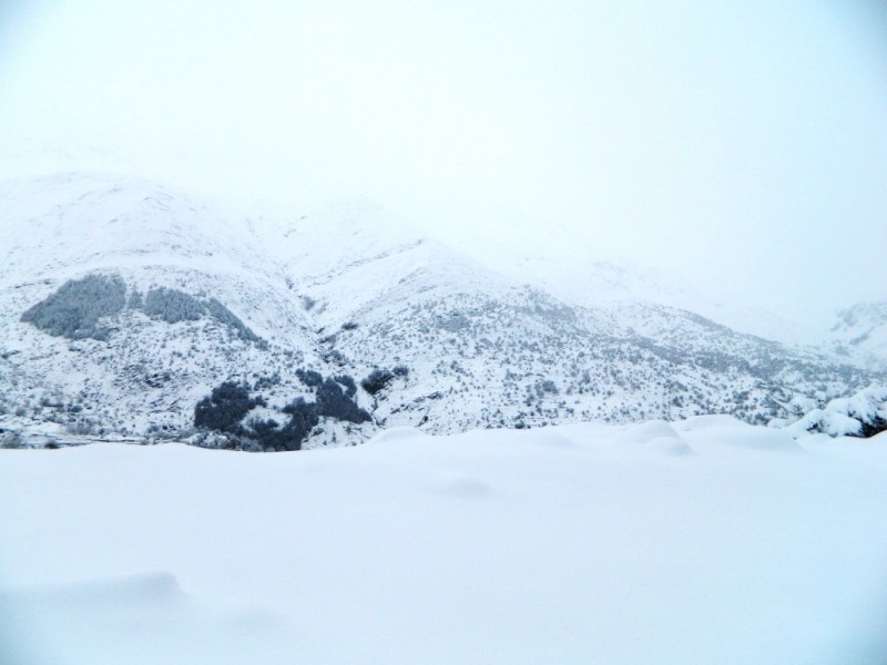 DSCN1174.JPG