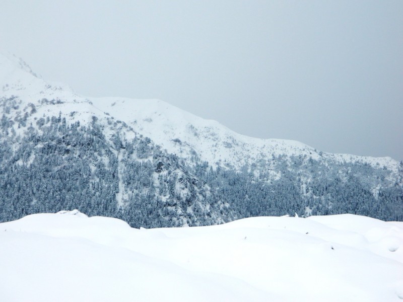 DSCN1178.JPG