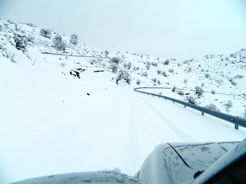 DSCN1182.JPG