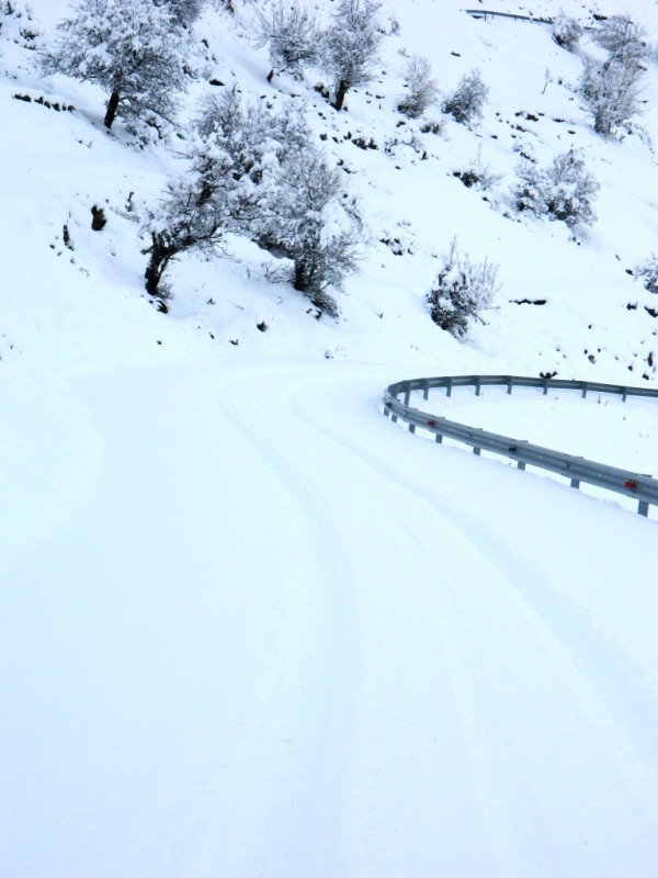 DSCN1184.JPG
