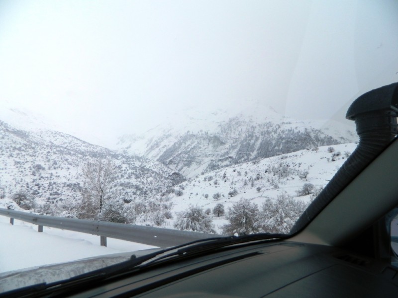 DSCN1186.JPG