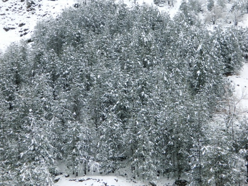 DSCN1188.JPG