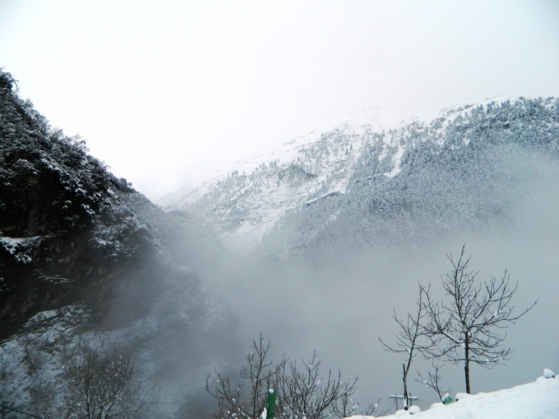 DSCN1191.JPG