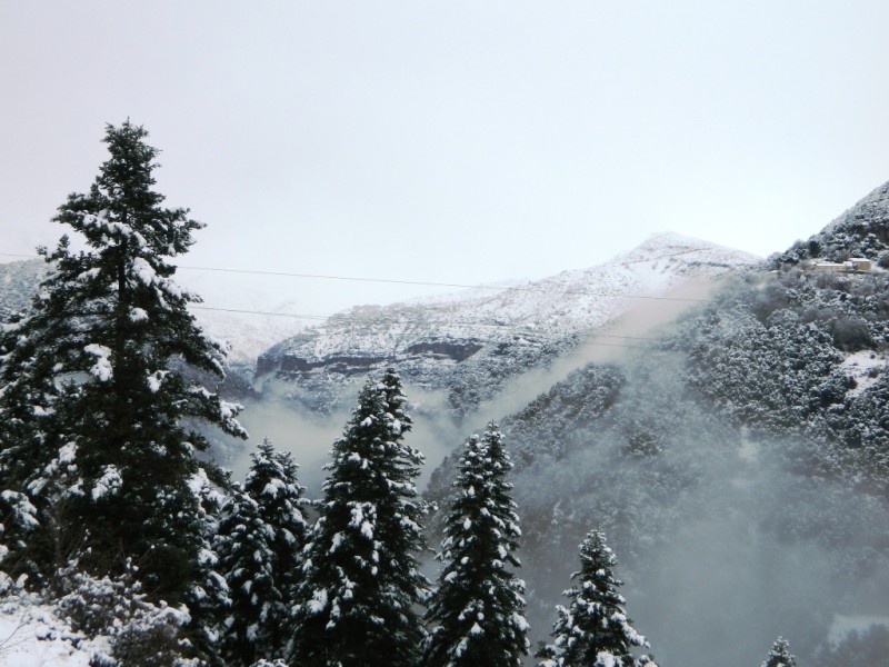 DSCN1195.JPG