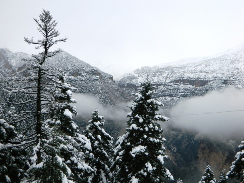 DSCN1198.JPG