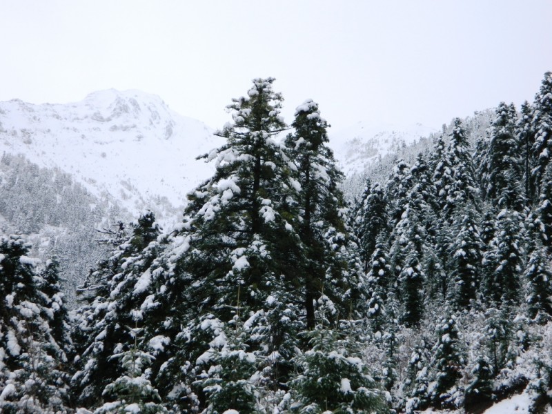 DSCN1200.JPG