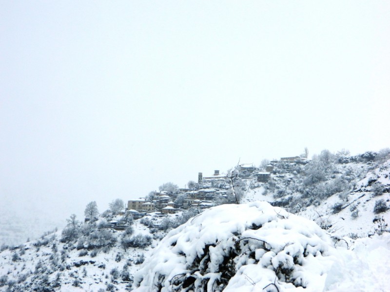 DSCN1202.JPG