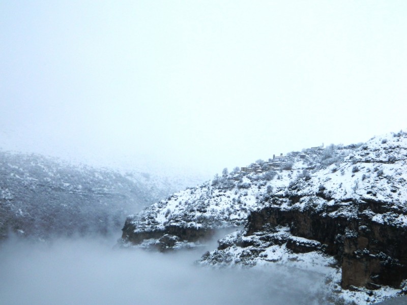 DSCN1203.JPG