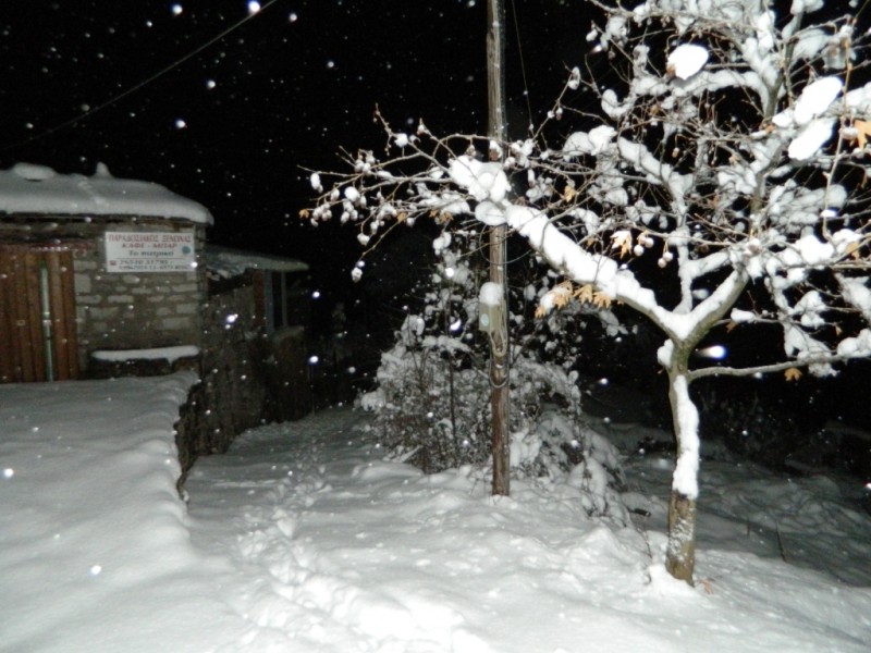 DSCN1217.JPG