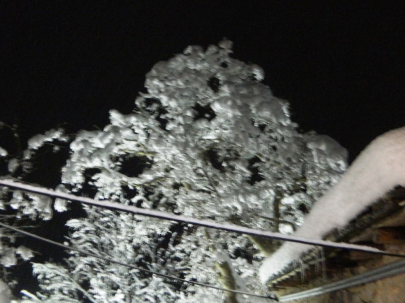 DSCN1254.JPG
