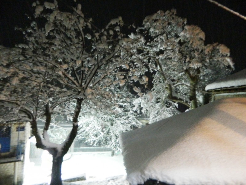 DSCN1258.JPG