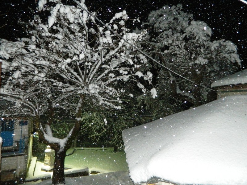 DSCN1259.JPG