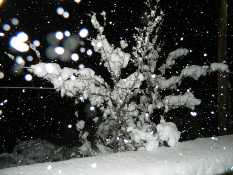 DSCN1264.JPG