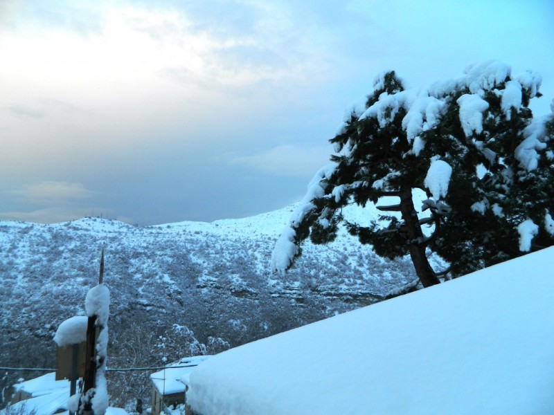 DSCN1268.JPG