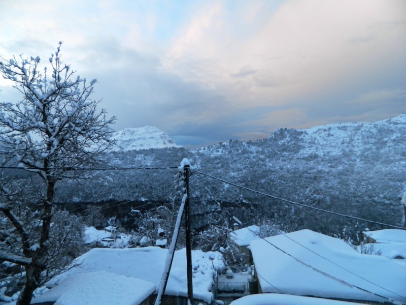 DSCN1270.JPG