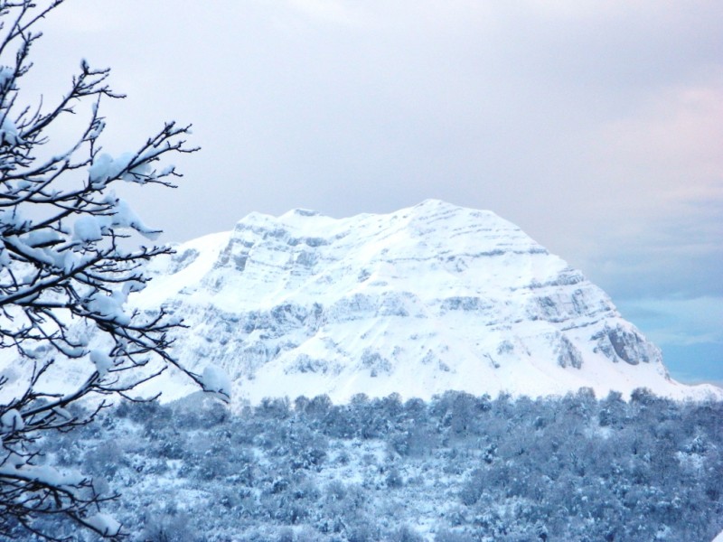 DSCN1271.JPG