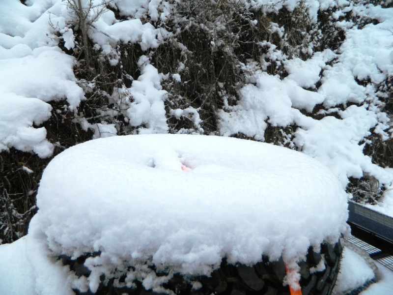DSCN1301.JPG