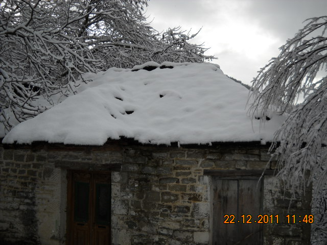 DSCN0175.JPG