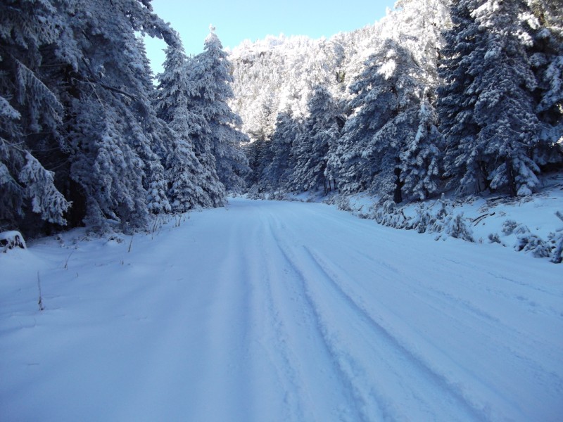DSCF0605.jpg
