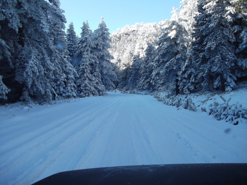 DSCF0604.jpg