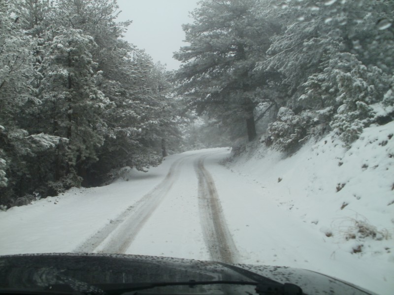 PC240373 (800 x 600).jpg