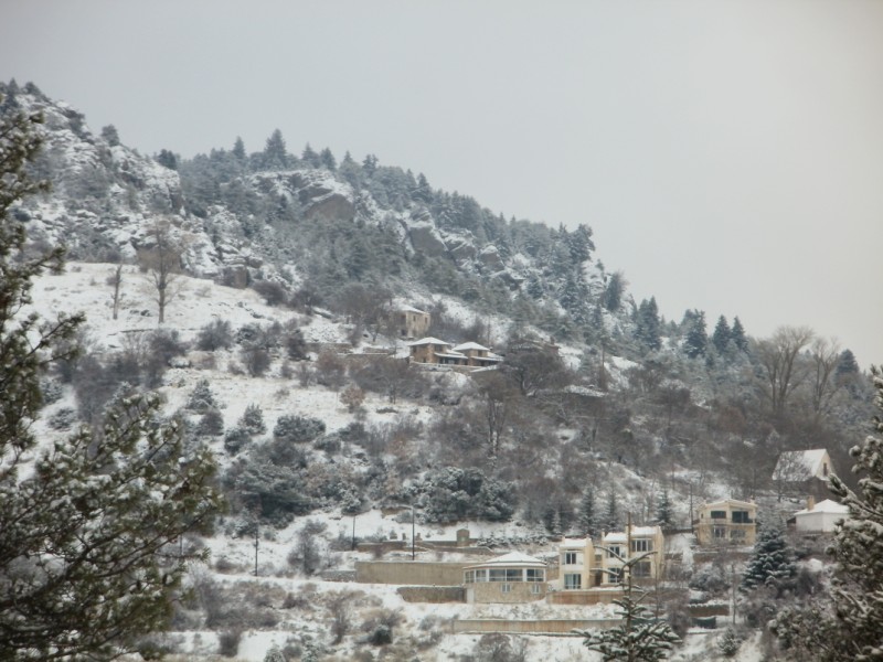 PC260422 (800 x 600).jpg
