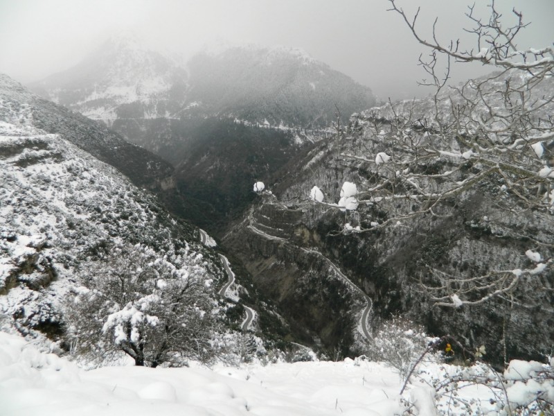 DSCN1317.JPG