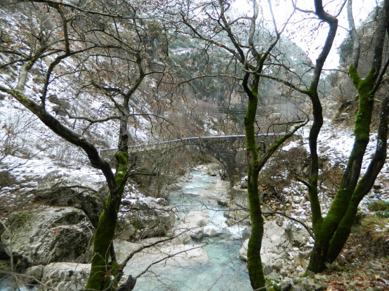 DSCN1338.JPG