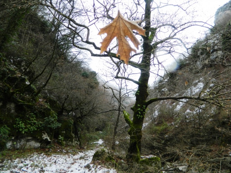 DSCN1339.JPG
