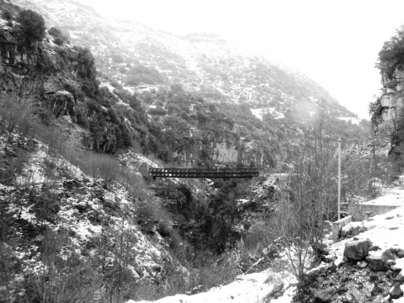 DSCN1343.JPG