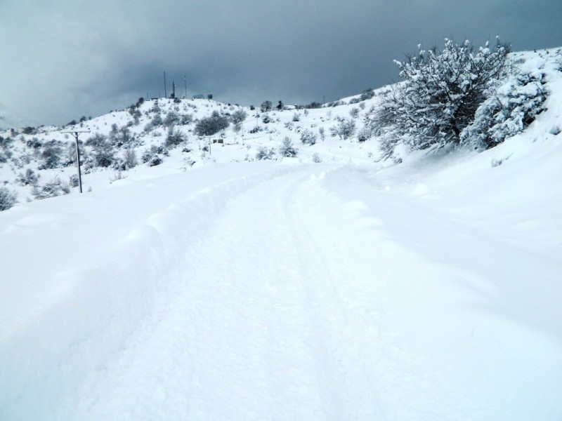 DSCN1356.JPG