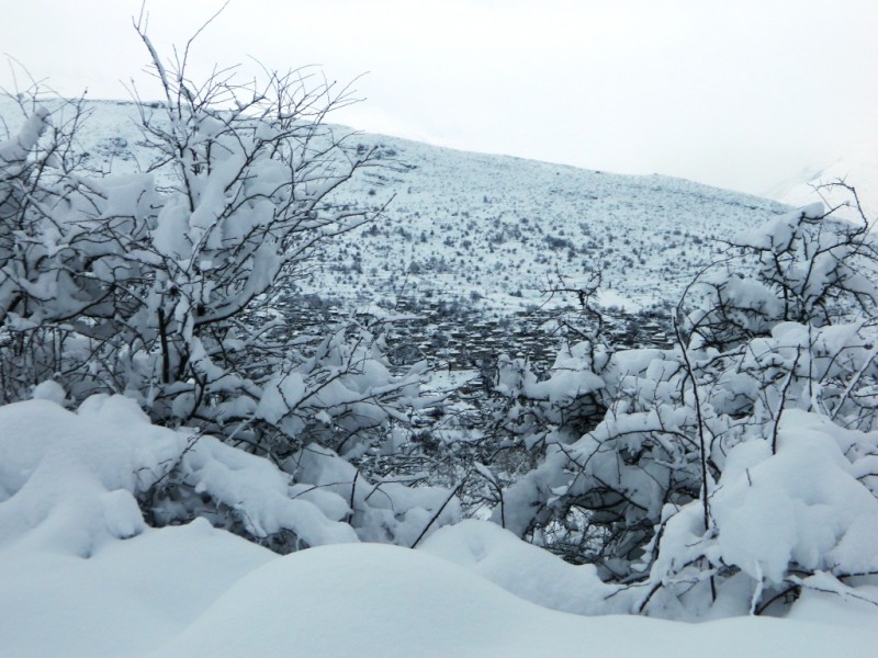DSCN1363.JPG