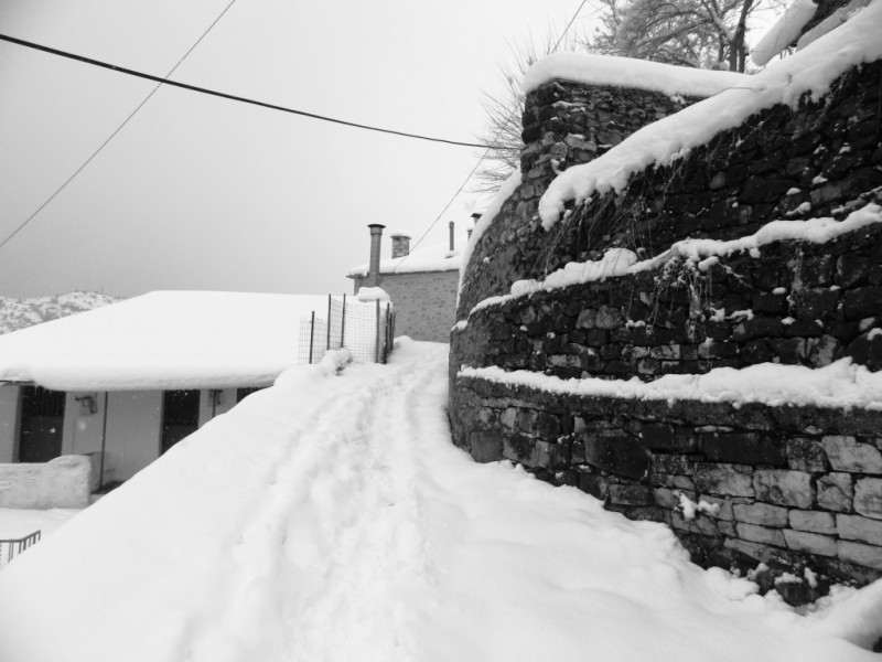 DSCN1401.JPG