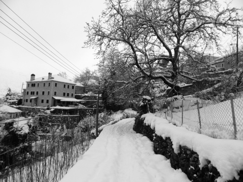 DSCN1403.JPG