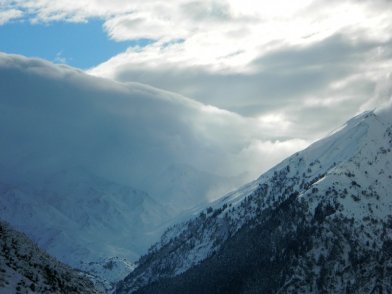 DSCN1446.JPG
