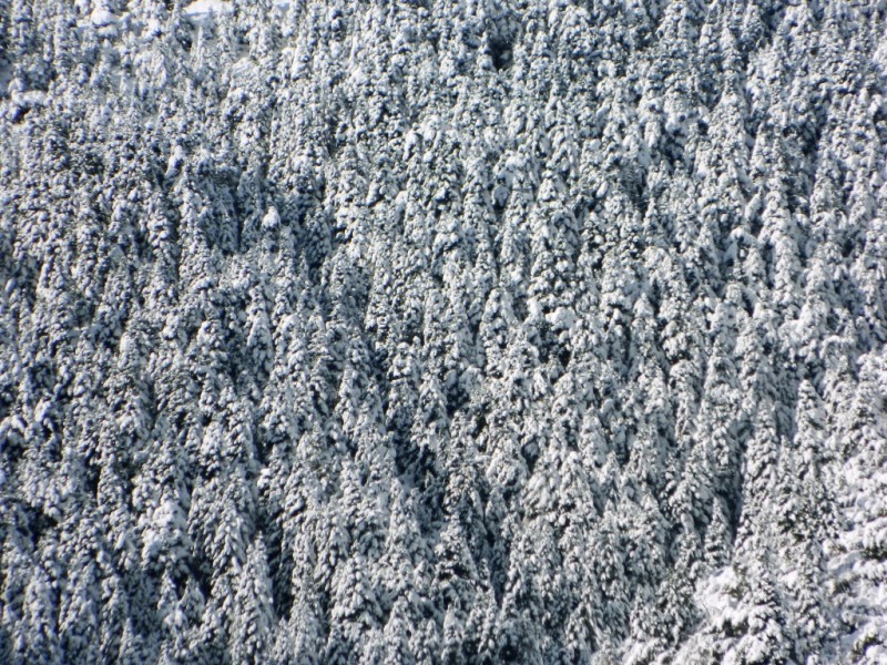 DSCN1452.JPG