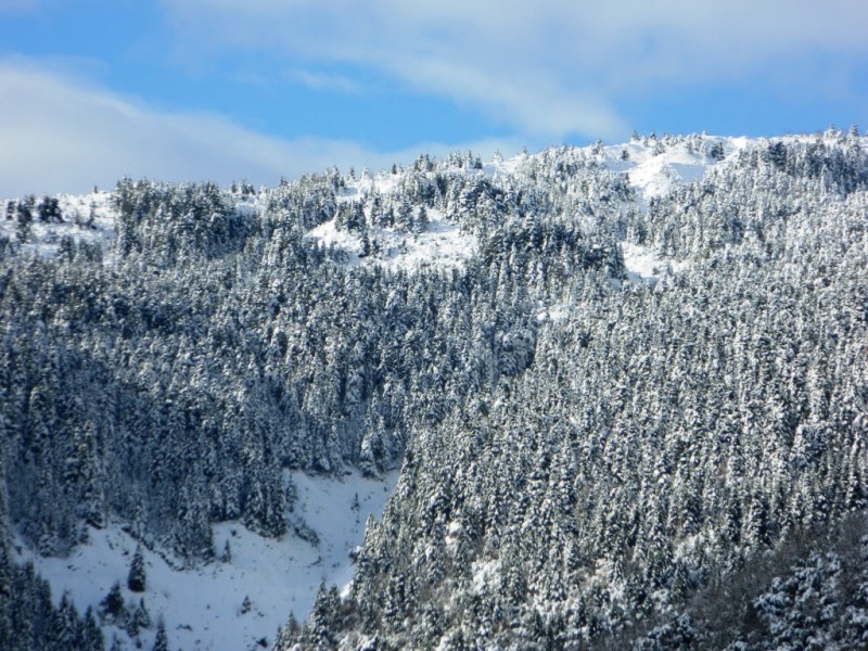 DSCN1453.JPG
