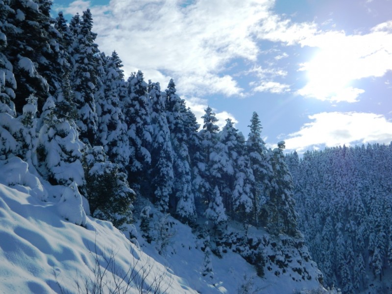 DSCN1461.JPG