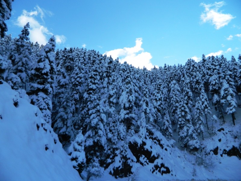 DSCN1462.JPG